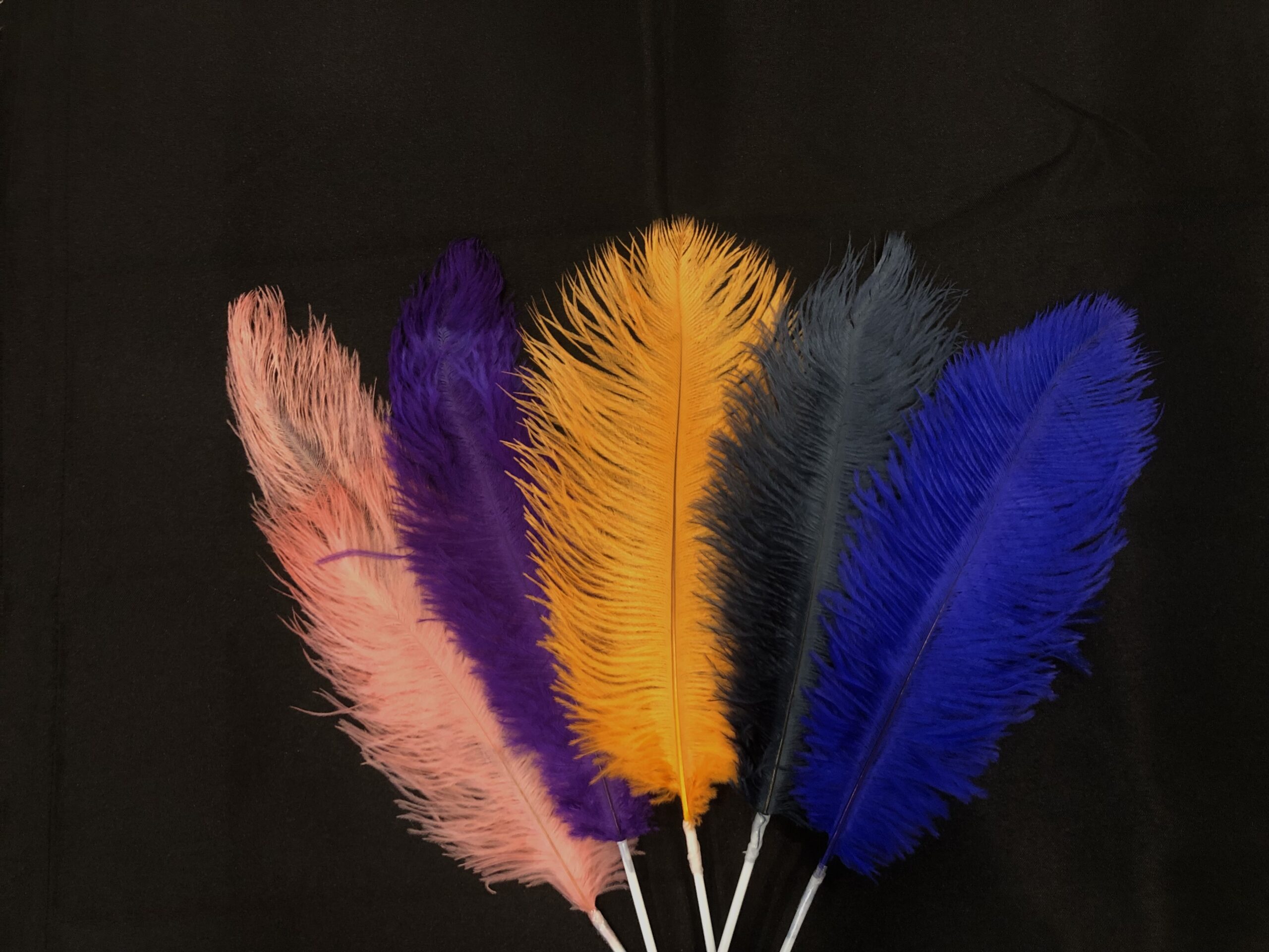 PURPLE OSTRICH FEATHER IS APPROX. 12”