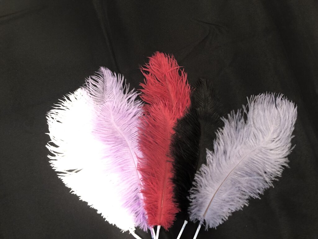 HOT PINK OSTRICH FEATHER IS APPROX. 12”