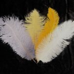 thumbnail img 0709