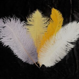 thumbnail img 0709