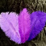 thumbnail img 0726