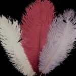 thumbnail img 0735
