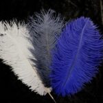 thumbnail img 0752