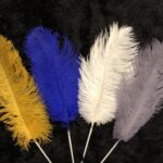 thumbnail img 9374