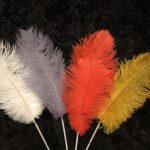 thumbnail img 9451