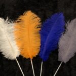 thumbnail img 9799